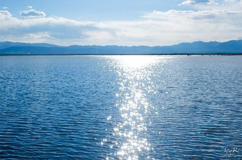 养殖户怎么合理使用涌浪机?